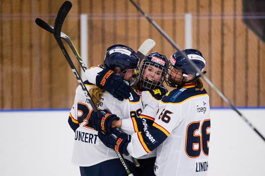 Djurgårdens spelare jublar