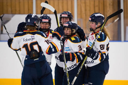 Djurgårdens spelare jublar