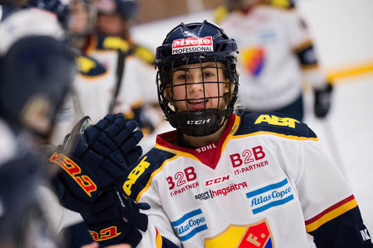 Djurgårdens spelare jublar