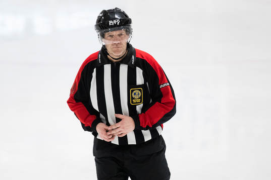 Domare Tomas Andersson