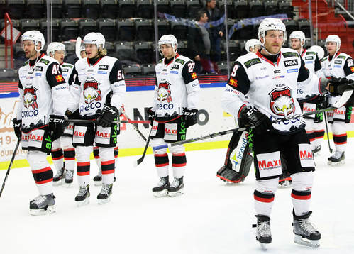 Malmö Redhawks spelare jublar