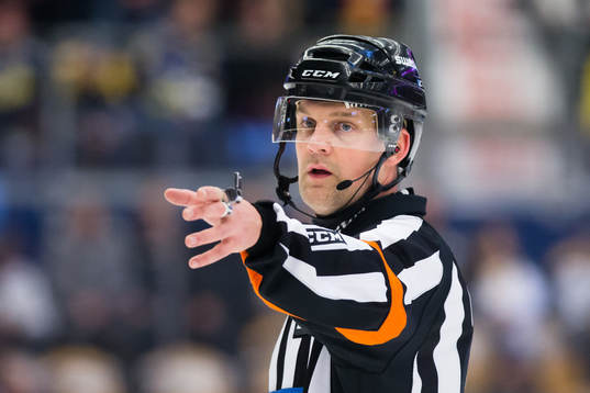 Domaren Mikael Nord