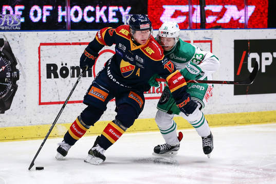 Bläddra bland fler bilder av Ishockey, SHL, Djurgården - Rögle