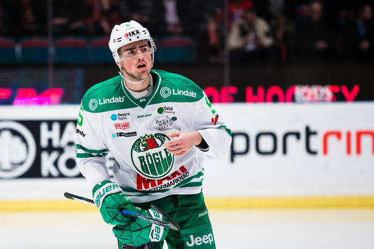 Rögles Alen Bibic