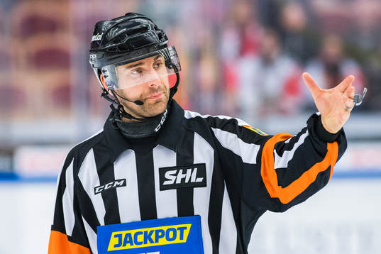 Domare Mikael Sjöqvist