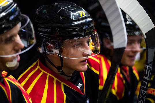 Brynäs Daniel Mannberg
