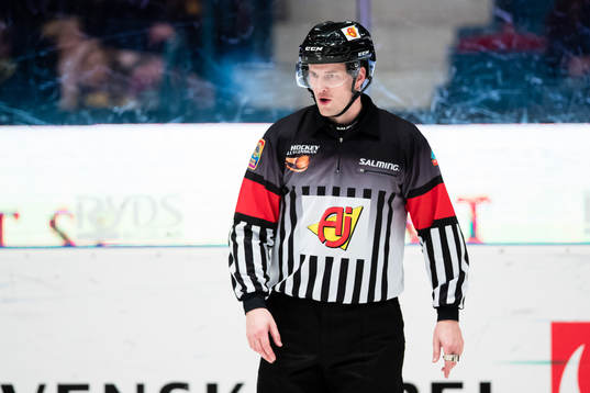 Domare Thomas Andersson