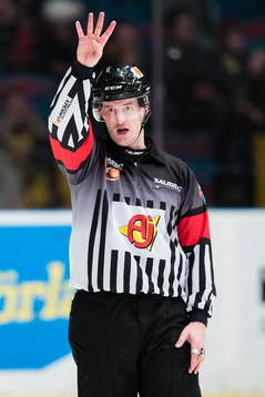 Domare Thomas Andersson