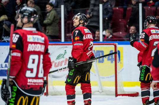 Malmö Redhawks Nils Andersson deppar