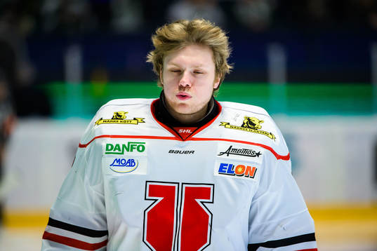 Örebros målvakt Arvid Ljung