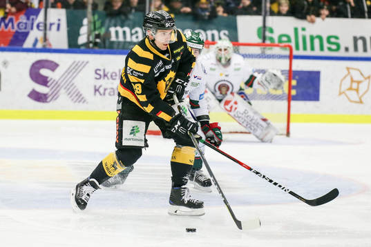 Skellefteås Matt Anderson