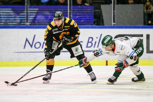 Skellefteås Matt Anderson