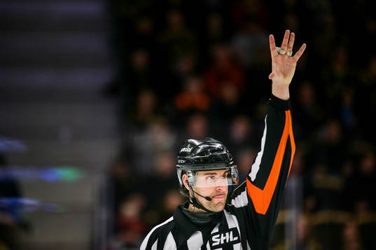 Domare Mikael Sjöqvist