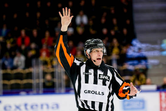 Domare Morgan Johansson