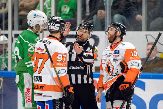 Domaren förklarar sitt domslut