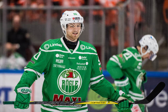 Rögles Ted Brithén