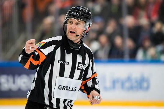 Domare Mikael Nord