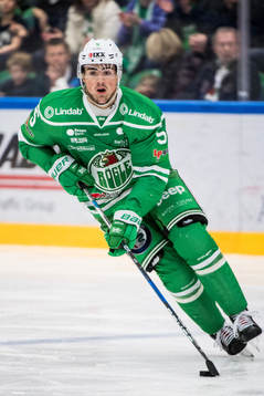 Rögles Alen Bibic