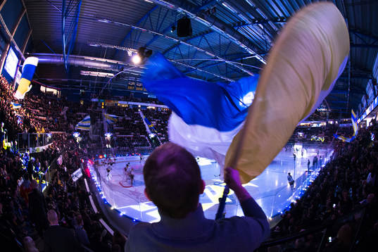 Supporter med flagga