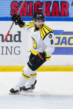 Brynäs Aaron Palushaj jublar
