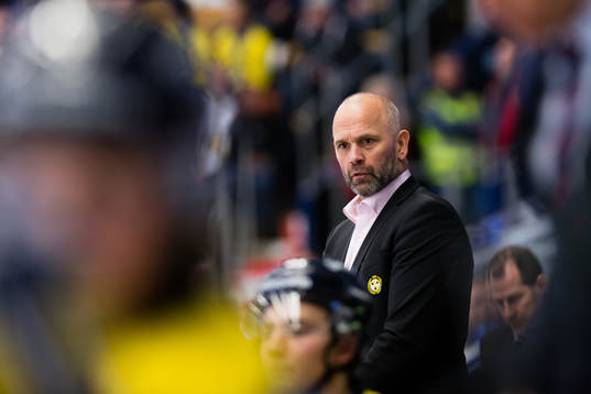 Brynäs tränare Tommy Sjödin