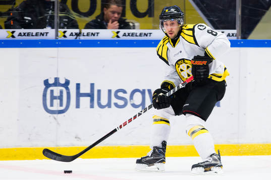 Brynäs Aaron Palushaj