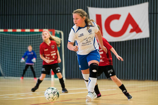 Spelare från Viken IK