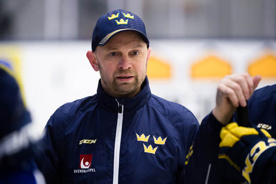 Sveriges målvaktstränare Stefan Ladhe