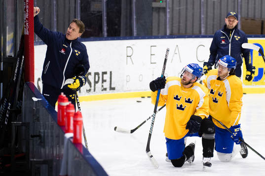 Sveriges assisterande tränare Johan Garpenlöv , Linus
