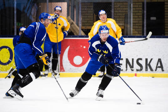 Staffan Kronwall och Alexander Bergström
