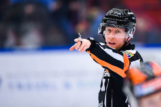 Domare Mikael Holm