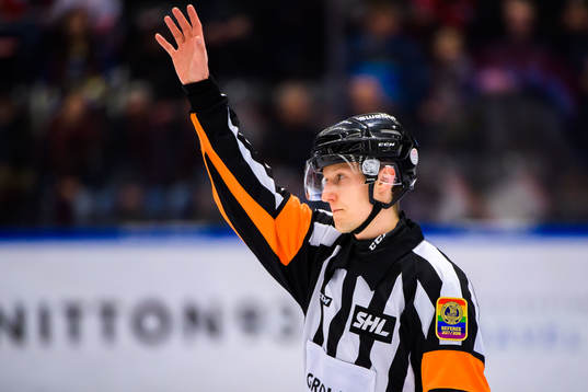 Domare Kristian Vikman