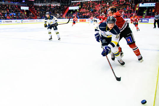 s Tom Hedberg