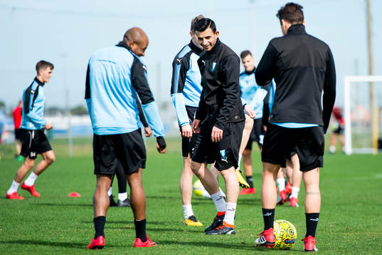 Malmö FFs Behrang Safari