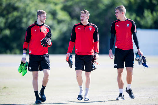 Malmö FFs målvakt Fredrik Andersson, målvakt Johan