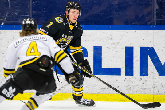 Bläddra bland fler bilder av Ishockey, Hockeyallsvenskan, Pantern - AIK 