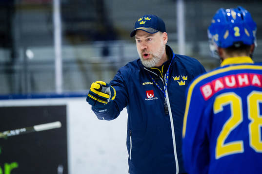 Förbundskapten Rikard Grönborg