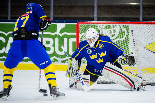 Robin Lindgren och Valentina Wallner