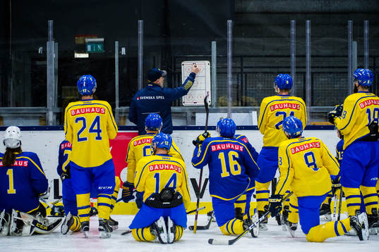 Rikard Grönborg ger instruktioner