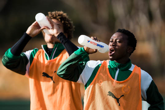 Bläddra bland fler bilder av Fotboll, Hammarby, Träningsläger