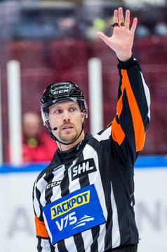 Domaren Andreas Harnebring
