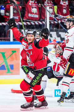 Malmö Redhawks Rhett Rakhshani jublar
