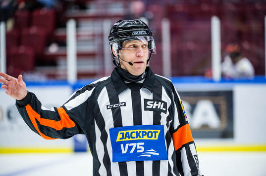 Domaren Morgan Johansson