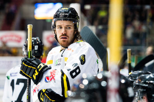 Bläddra bland fler bilder av Ice Hockey, GET-ligaen, Storhamar - Stavanger Oilers