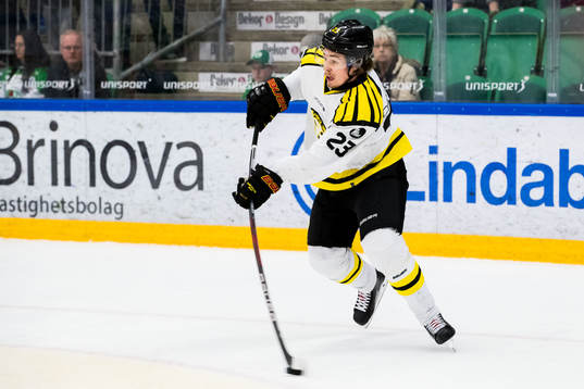 Brynäs Lucas Carlsson