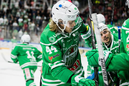 Rögles Olle Liss
