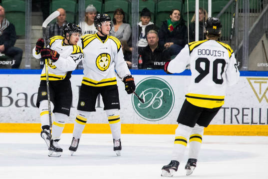 Brynäs spelare jublar