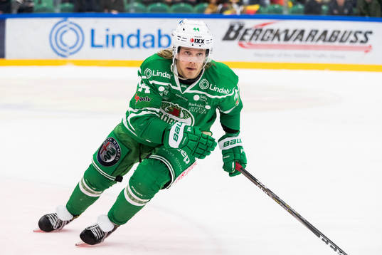 Rögles Olle Liss