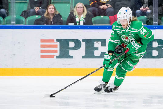 Rögles Olle Liss