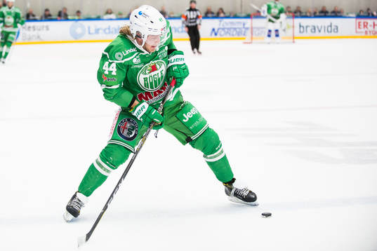 Rögles Olle Liss